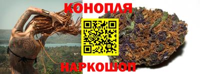 прущие грибы Моздок
