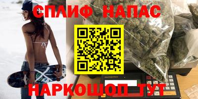 прущие грибы Моздок