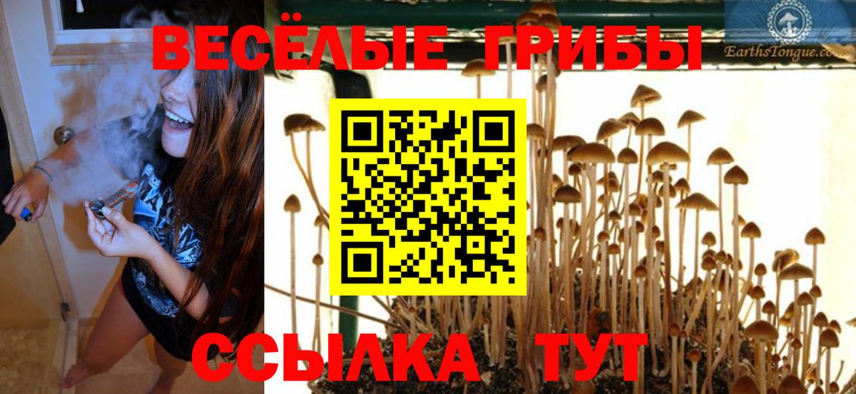 Псилоцибиновые грибы прущие грибы Ставрополь