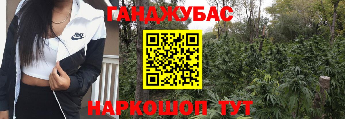 Канабис планчик Ставрополь